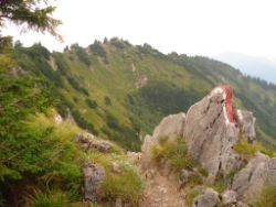 2013-08-25_Risserkogel (211).JPG